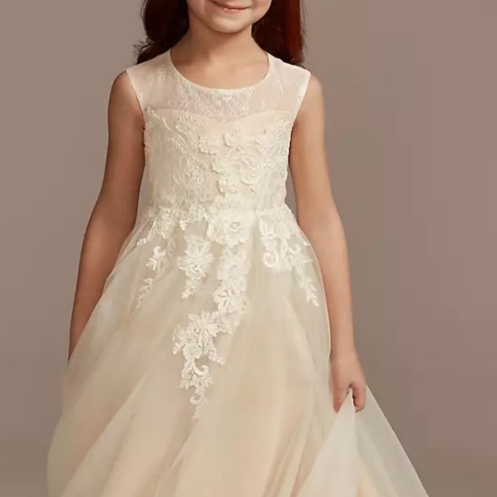 David’s Bridal WG1411 Illusion Tulle Flower Girl Dress  Size 4 Ivory/Champagne